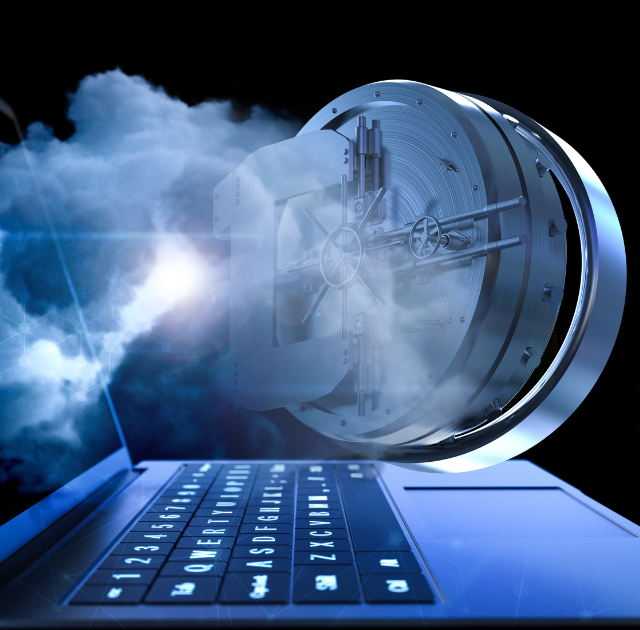 Institutional Safeguards